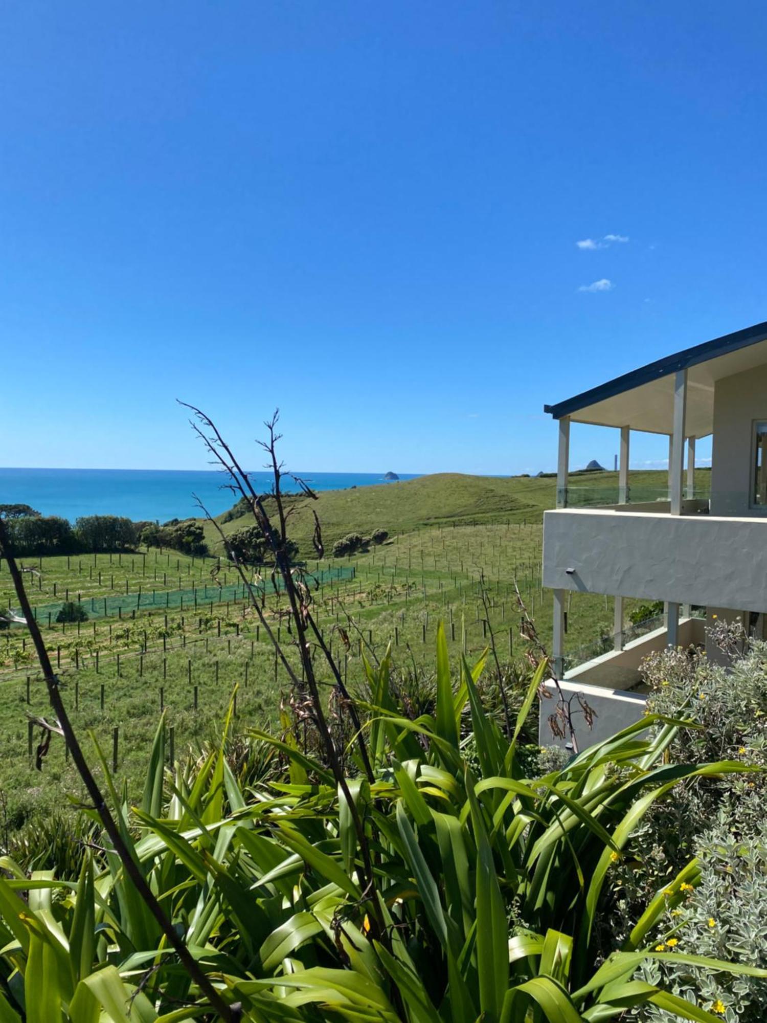 Chalets At Okurukuru New Plymouth Exterior photo