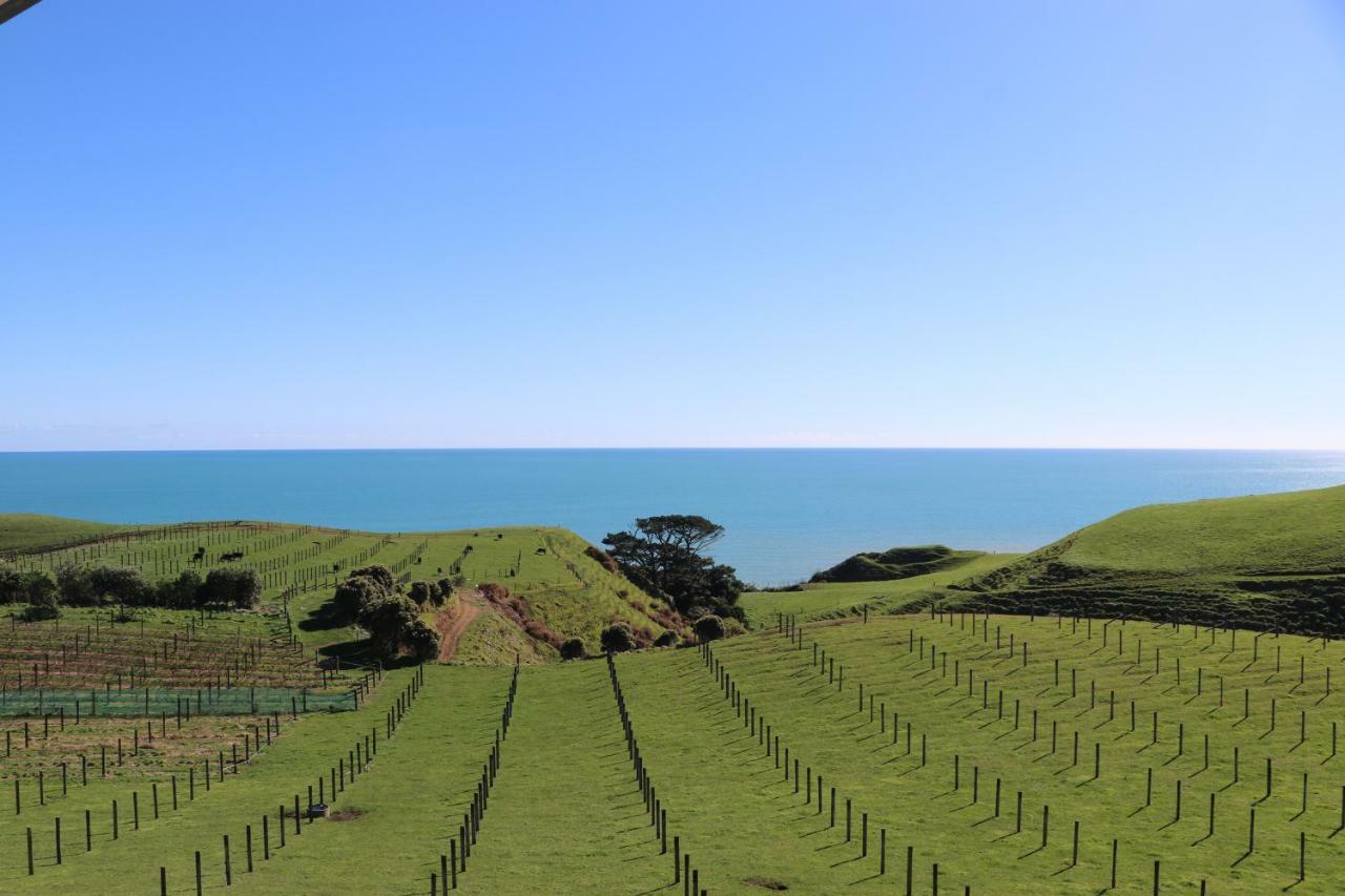 Chalets At Okurukuru New Plymouth Exterior photo